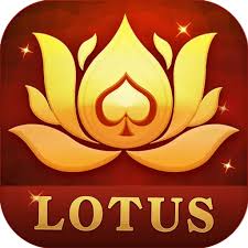teen patti tarbo download